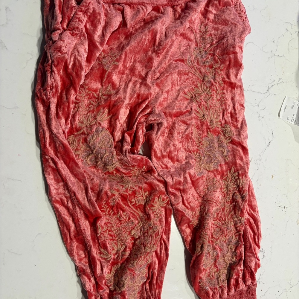 Anthropologie Rosie Embroidered Velvet Joggers - Picture 3 of 7
